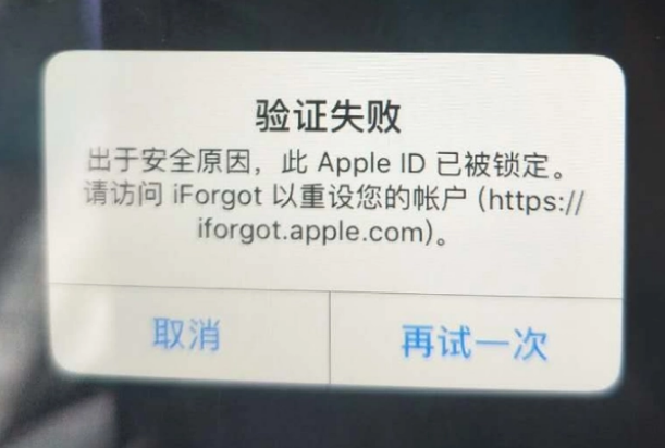 扶绥iPhone维修分享iPhone上正常登录或使用AppleID怎么办 