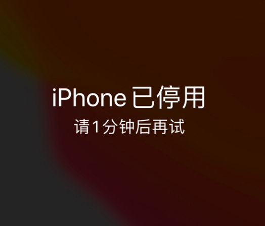 扶绥苹果手机维修分享:iPhone 显示“不可用”或“已停用”怎么办？还能保留数据吗？ 