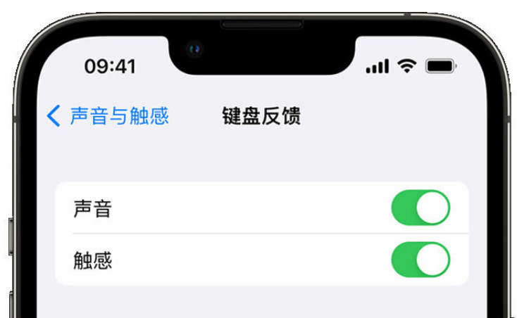 扶绥苹果手机维修分享iPhone 14触感键盘使用方法 