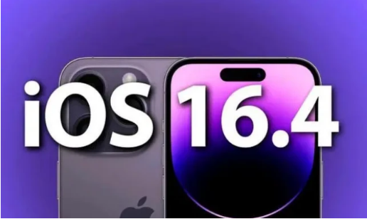 扶绥苹果14维修分享：iPhone14可以升级iOS16.4beta2吗？ 