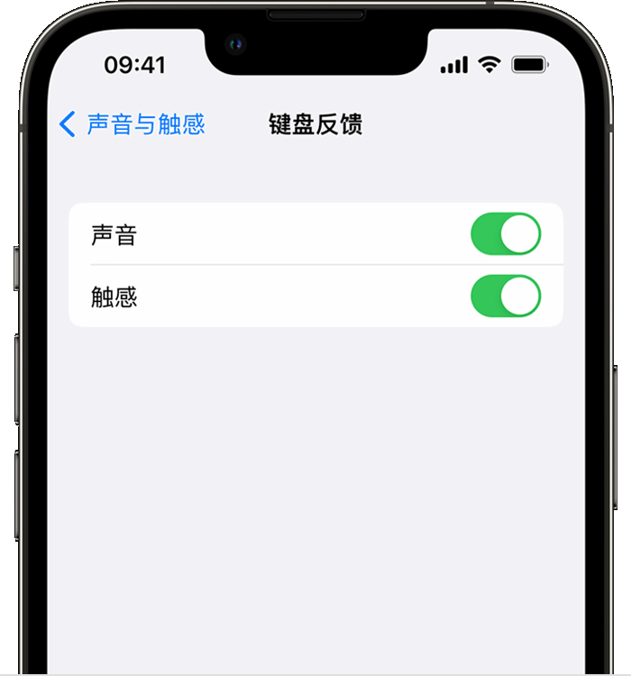 扶绥苹果14维修店分享如何在 iPhone 14 机型中使用触感键盘 