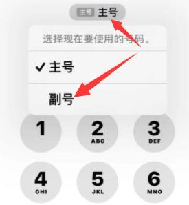 扶绥苹果14维修店分享iPhone 14 Pro Max使用副卡打电话的方法 