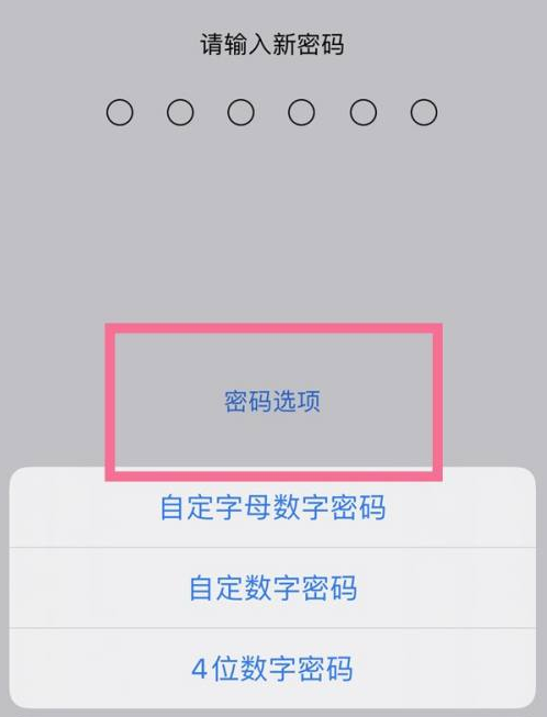 扶绥苹果14维修分享iPhone 14plus设置密码的方法 