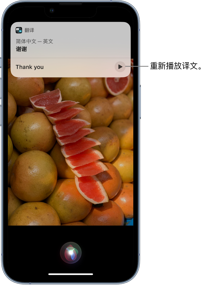 扶绥苹果14维修分享 iPhone 14 机型中使用 Siri：了解 Siri 能帮你做什么 