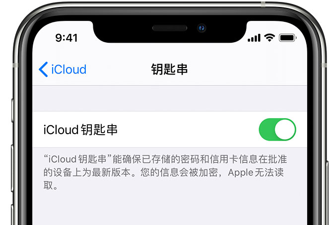 扶绥苹果手机维修分享在 iPhone 上开启 iCloud 钥匙串之后会储存哪些信息 