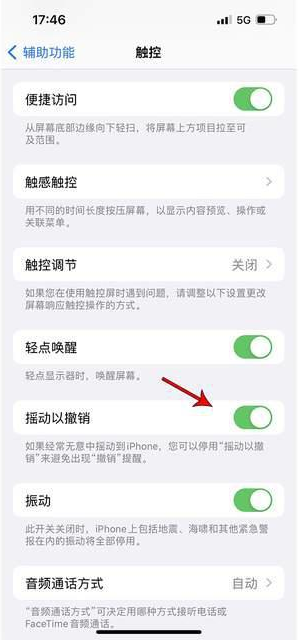 扶绥苹果手机维修分享iPhone手机如何设置摇一摇删除文字 