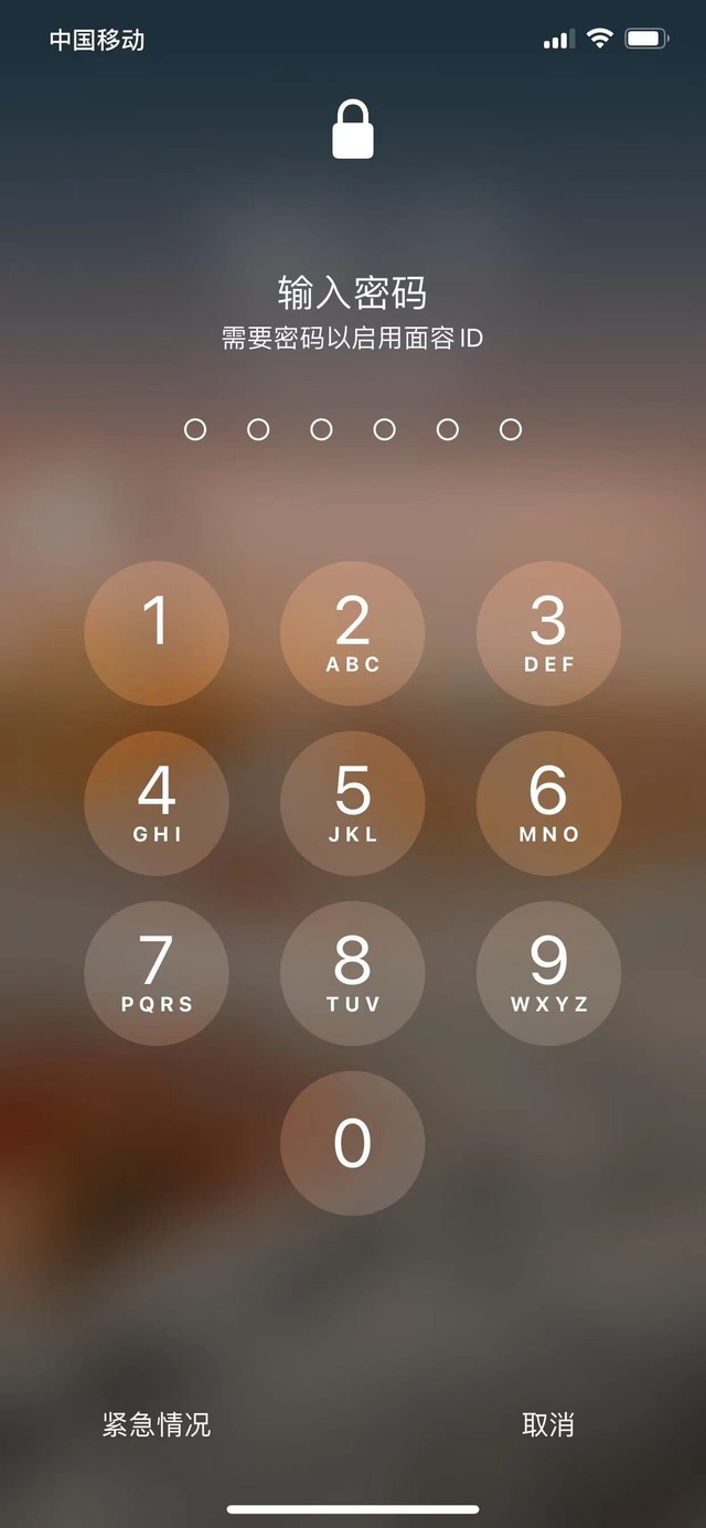 扶绥苹果13维修分享iPhone 13加强锁屏功能有什么用 