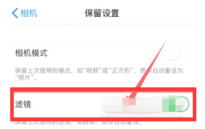 扶绥苹果13维修分享iPhone13拍照有绿点是怎么回事 