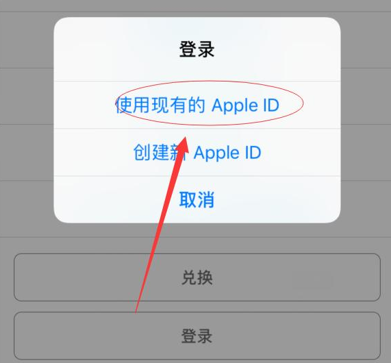 扶绥苹果手机维修分享两台iPhone设备可以同时登录一个Apple ID吗 