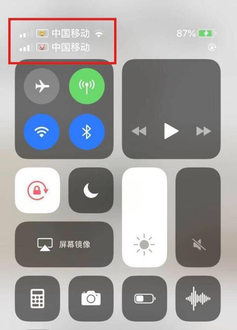 扶绥苹果手机维修分享为 iPhone 12 双卡设置标签 
