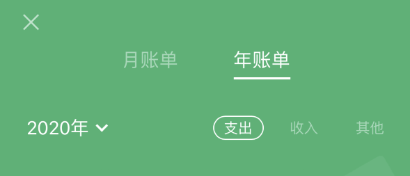 扶绥苹果手机维修分享如何在 iPhone 上查看支付宝和微信年支出账单 