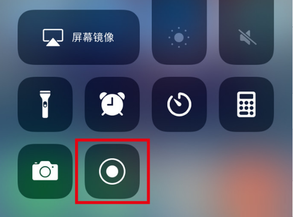 扶绥苹果手机维修分享iPhone12录屏方法教程 