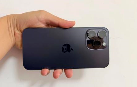 扶绥苹果维修点分享iPhone 14 Pro Max二修主板与高压浪涌类故障 